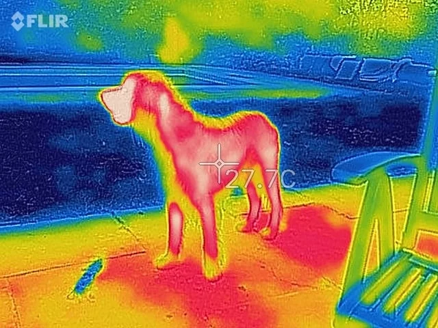 © 2019 - Thermal Imaging – Fact Versus Fiction