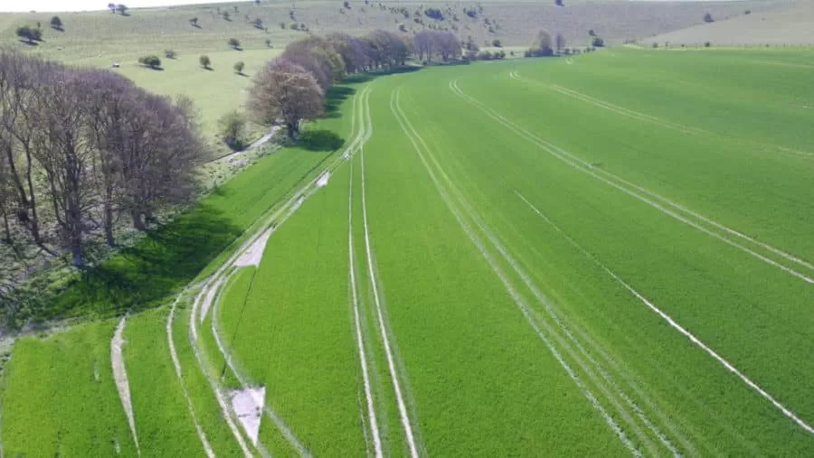 © 2019 - Drones and Precision Agriculture