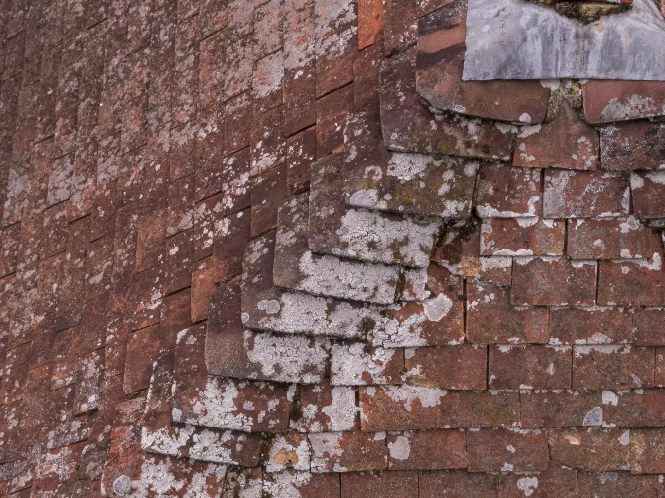 © 2019 - Roof Inspection Costs UK