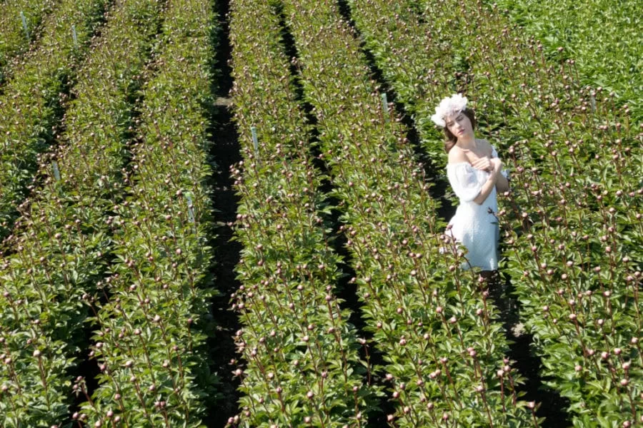 drone shoot in advertising