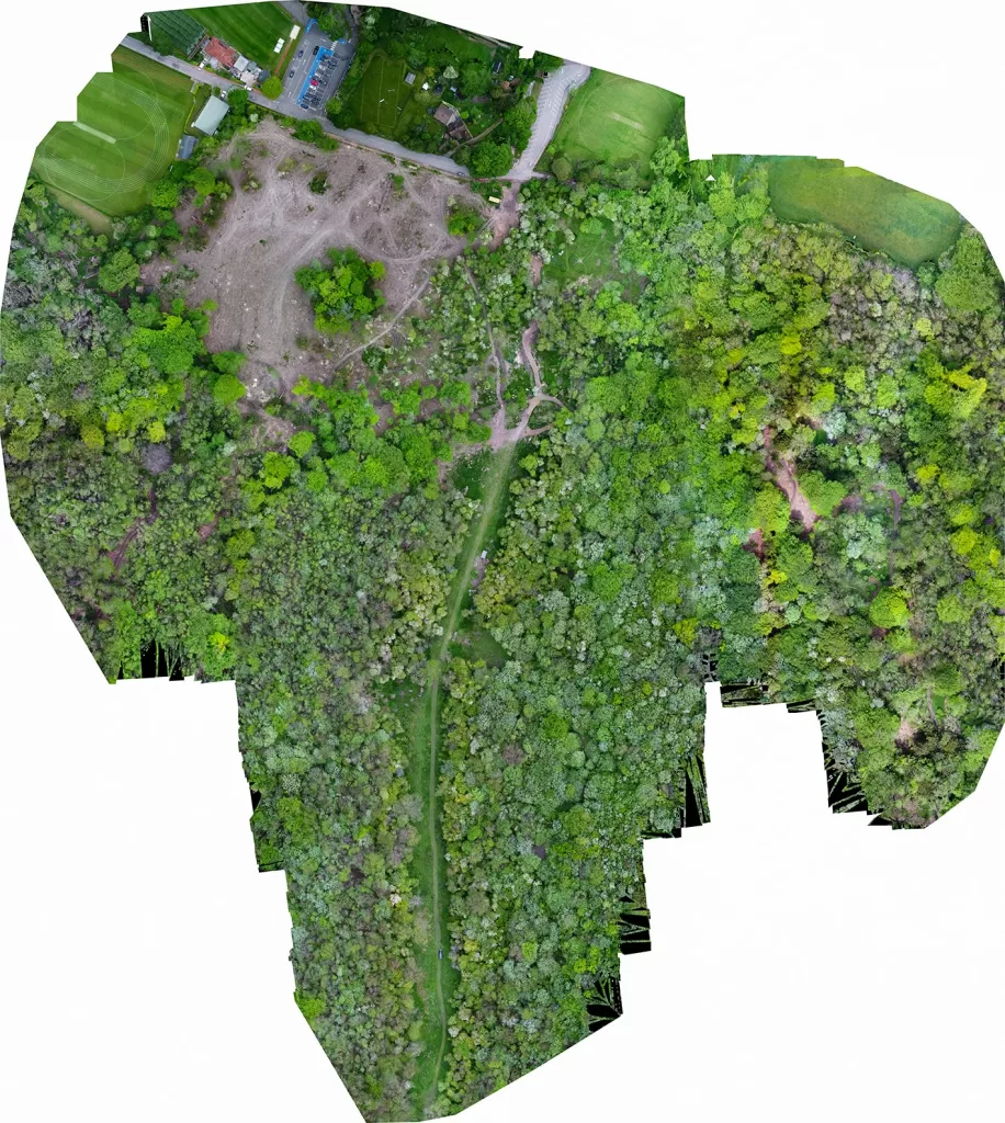 Caterham School Forest 01-small 2D Photogrammetry Map