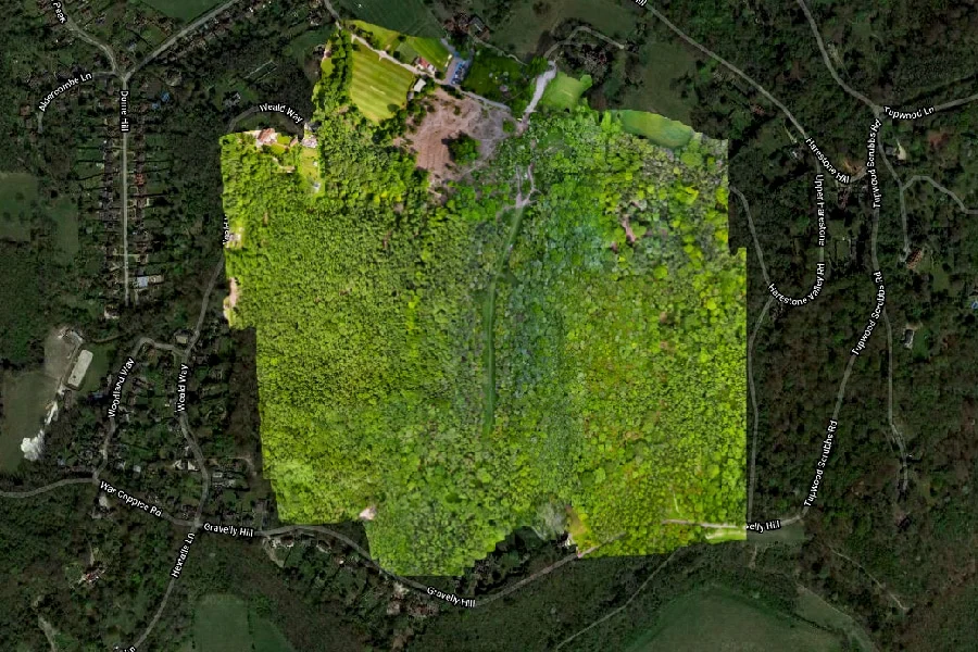Photogrammetry Overlay on Map Forest Canopy Survey