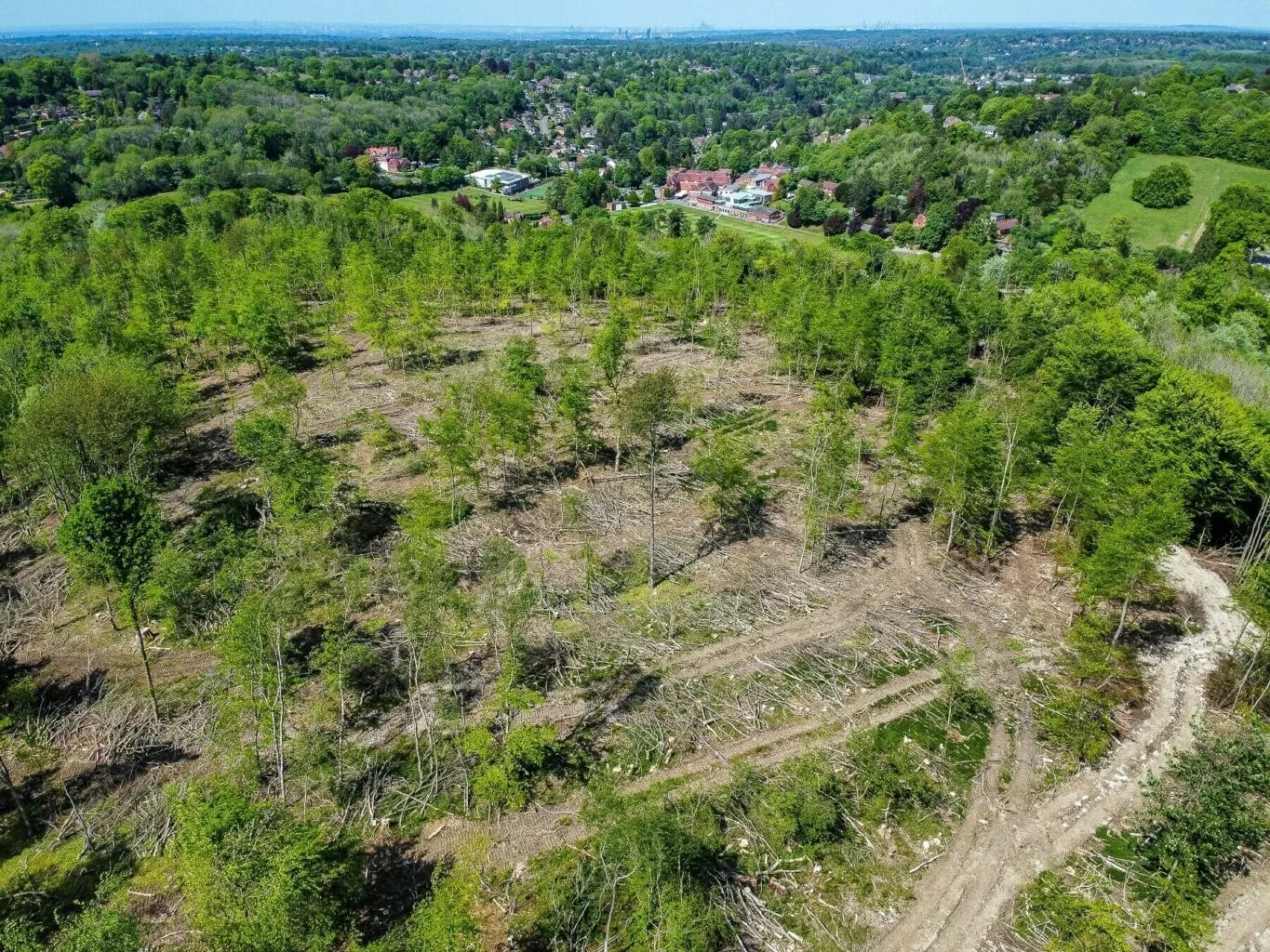 Behind the Scenes-20220619-0010 Old Park Wood