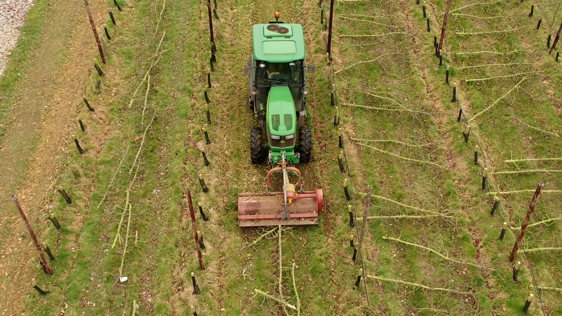 IEC-RGB-00006 BBC One Show at Loddington Farm